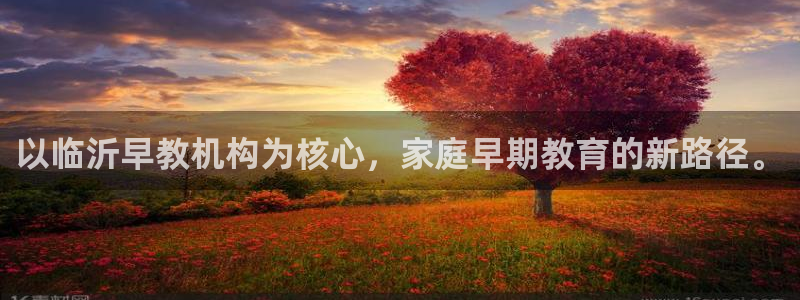 威九国际免费网络站:以临沂早教机构为核心,家庭早期教育的新路径。