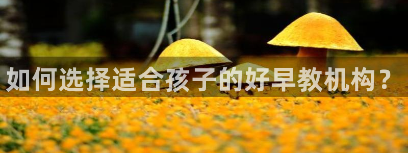 威九国际78mb游戏:如何选择适合孩子的好早教机构?