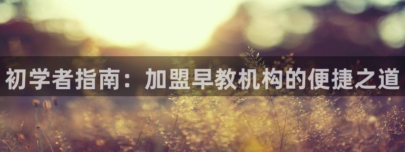 威九国际游戏app网址：初学者指南：加盟早教机构的便捷之道