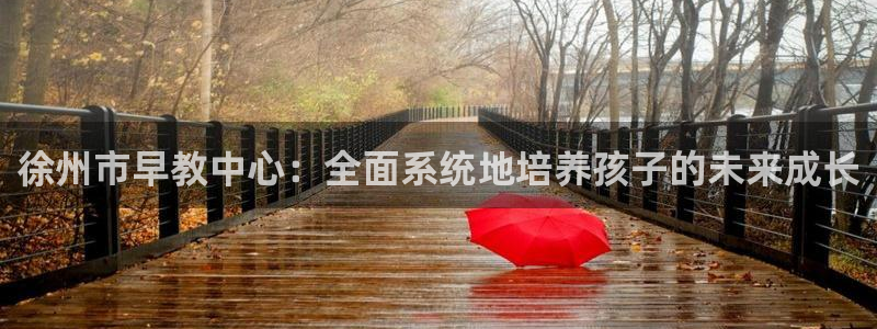 威九国际取款不会被骗吧：徐州市早教中心：全面系统地培养孩子的未来成长