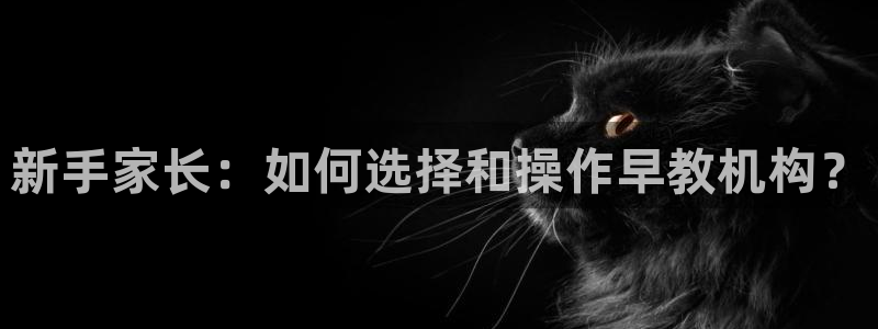 威九国际人民网：新手家长：如何选择和操作早教机构？