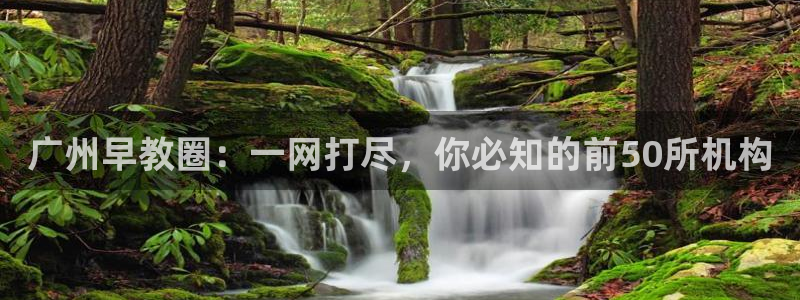 威九国际小广告：广州早教圈：一网打尽，你必知的前50所机构