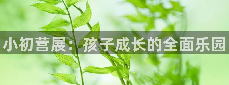 威九国际v96BET:小初营展:孩子成长的全面乐园