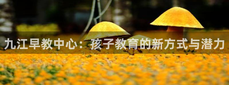 威九国际APP：九江早教中心：孩子教育的新方式与潜力