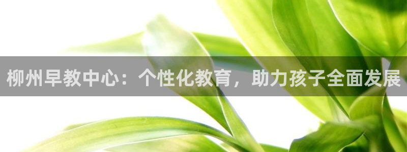 保定威九网络科技有限公司招聘:柳州早教中心:个性化教育,助力孩子全面发展