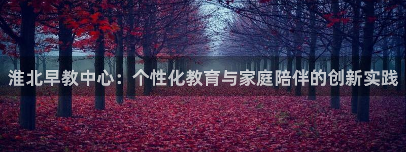 威九国际v96BET:淮北早教中心:个性化教育与家庭陪伴的创新实践