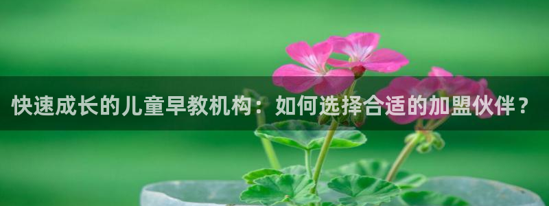 威九国际v96.81t：快速成长的儿童早教机构：如何选择合适的加盟伙伴？
