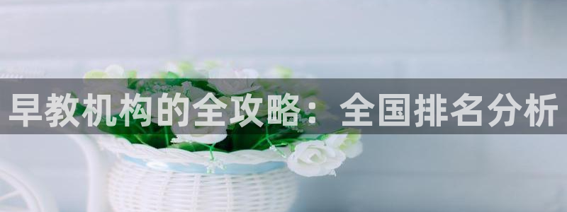 威九国际v8：早教机构的全攻略：全国排名分析