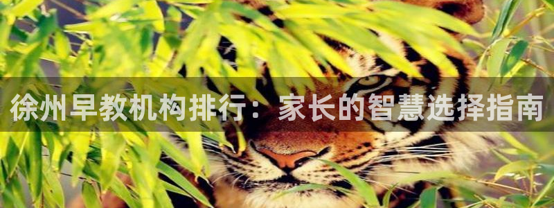 威九国际网站进入产品中心：徐州早教机构排行：家长的智慧选择指南