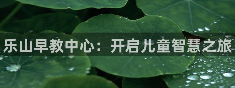 威九国际78mob官网版：乐山早教中心：开启儿童智慧之旅