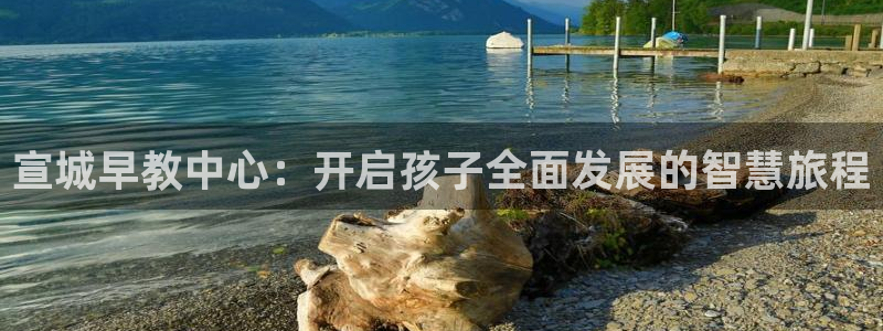 威九国际里的长头发帅哥名字:宣城早教中心:开启孩子全面发展的智慧旅程