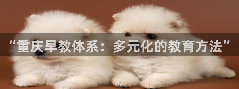 威九国际精忐：“重庆早教体系：多元化的教育方法”