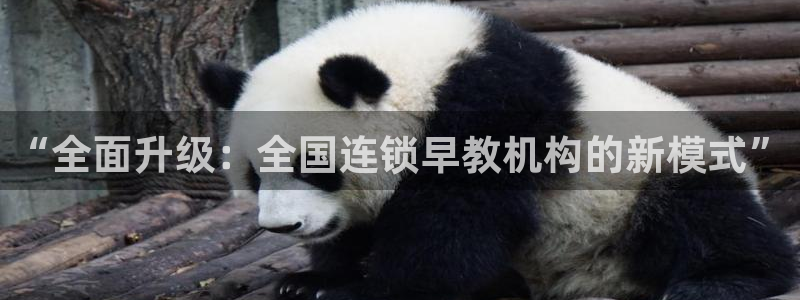 威九国际网站影视：“全面升级：全国连锁早教机构的新模式”