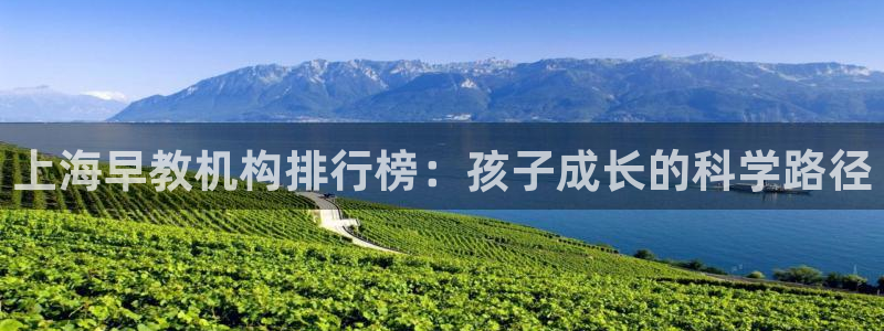 威九国际：上海早教机构排行榜：孩子成长的科学路径