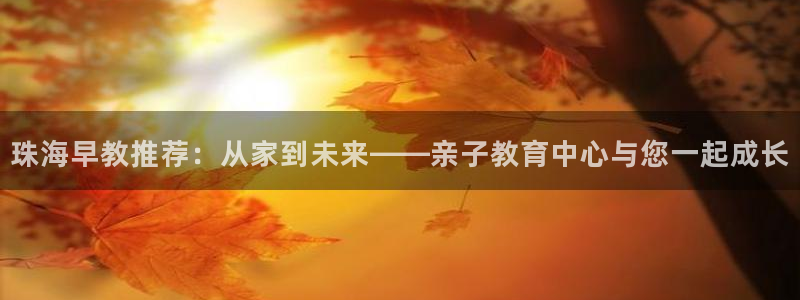 威九国际电子有限公司：珠海早教推荐：从家到未来——亲子教育中心与您一起成长