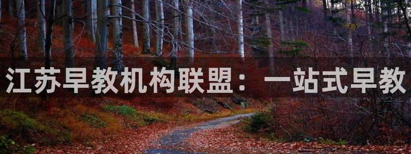 威九国际游戏入口：江苏早教机构联盟：一站式早教