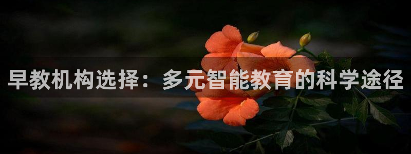 威九国际免费网络站：早教机构选择：多元智能教育的科学途径