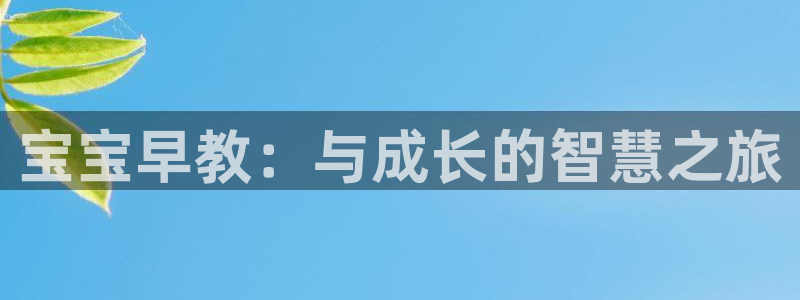 威九国际网站传媒：宝宝早教：与成长的智慧之旅
