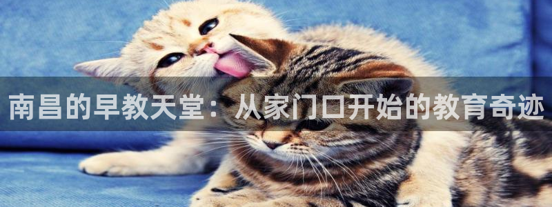 威九国际78mb官网版：南昌的早教天堂：从家门口开始的教育奇迹