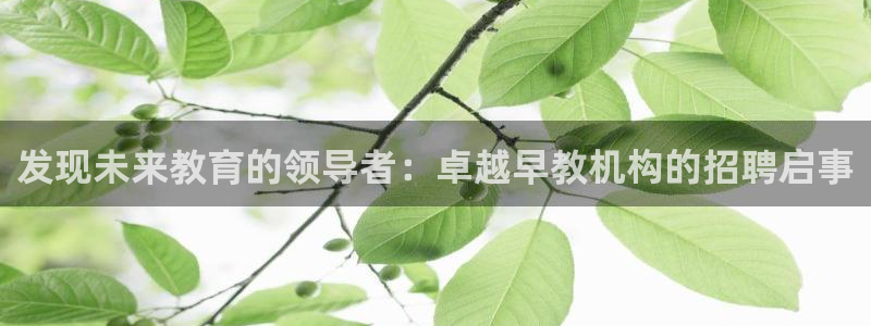 威九国际78mob：发现未来教育的领导者：卓越早教机构的招聘启事