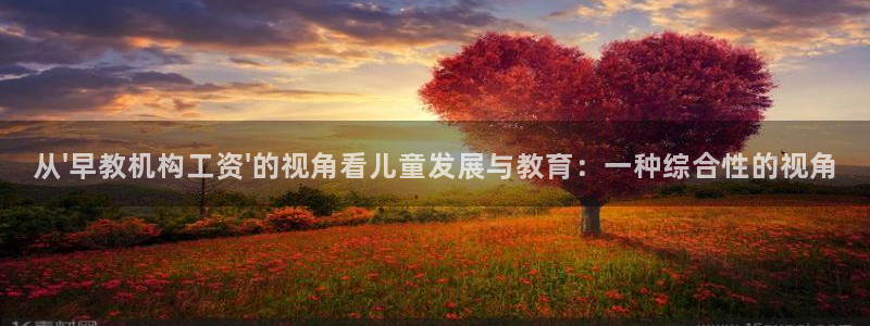 威九国际服:从\'早教机构工资\'的视角看儿童发展与教育:一种综合性的视角