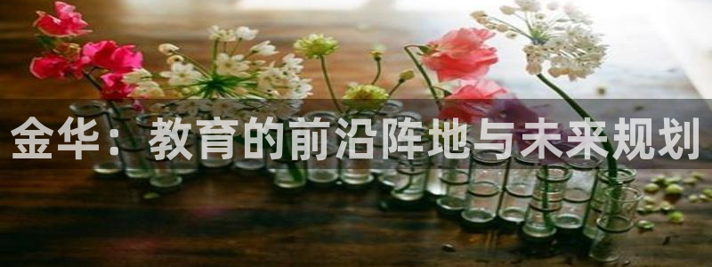 威九国际78mb42- MBA中文：金华：教育的前沿阵地与未来规划