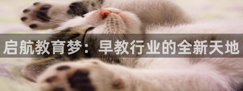 威九国际mv：启航教育梦：早教行业的全新天地