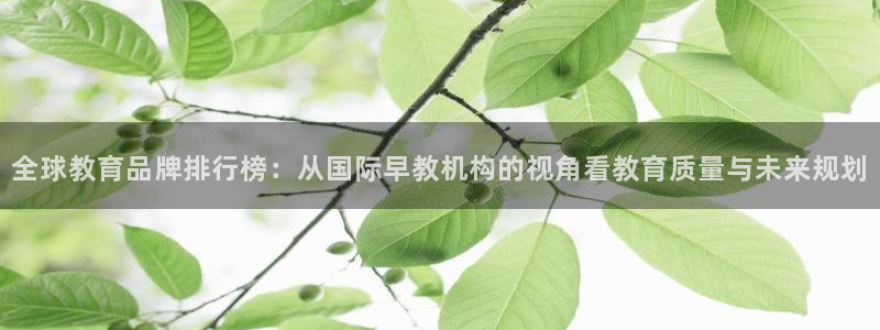 威九国际可以提现吗安全吗：全球教育品牌排行榜：从国际早教机构的视角看教育质量与未