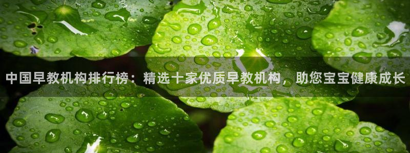 威九国际网站进入AB,AB：中国早教机构排行榜：精选十家优质早教机构，助您宝宝健