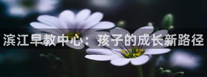 威九国际网站入囗：滨江早教中心：孩子的成长新路径