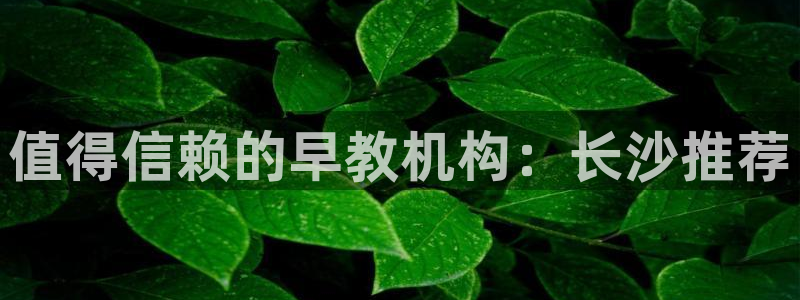 威九国际里的长头发帅哥名字：值得信赖的早教机构：长沙推荐