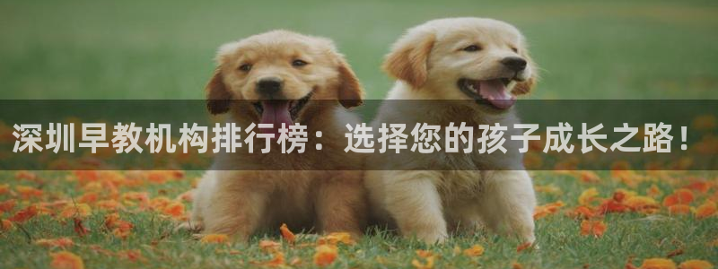 威九国际网站链接怎么打开：深圳早教机构排行榜：选择您的孩子成长之路！