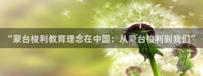 威九国际取款：“蒙台梭利教育理念在中国：从蒙台梭利到我们”