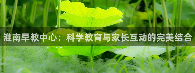 威九国际精彩视频2022年：淮南早教中心：科学教育与家长互动的完美结合