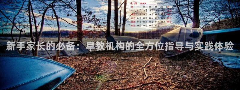 威九国际精：新手家长的必备：早教机构的全方位指导与实践体验