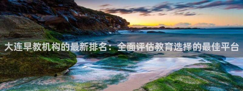 威九国际入口一：大连早教机构的最新排名：全面评估教育选择的最佳平台