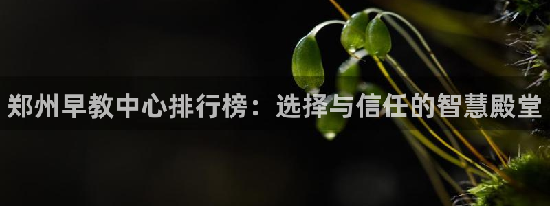 威九国际78mb下载：郑州早教中心排行榜：选择与信任的智慧殿堂