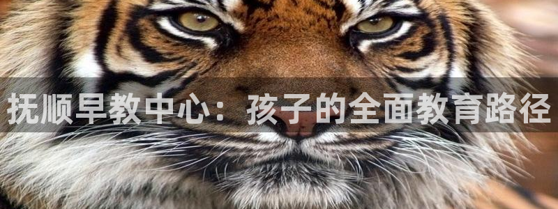 威九国际APP客服：抚顺早教中心：孩子的全面教育路径