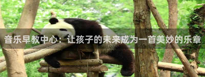威九国际66mm66：音乐早教中心：让孩子的未来成为一首美妙的乐章