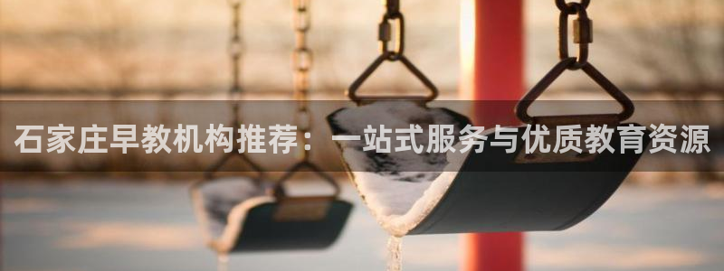 威九国际天美：石家庄早教机构推荐：一站式服务与优质教育资源