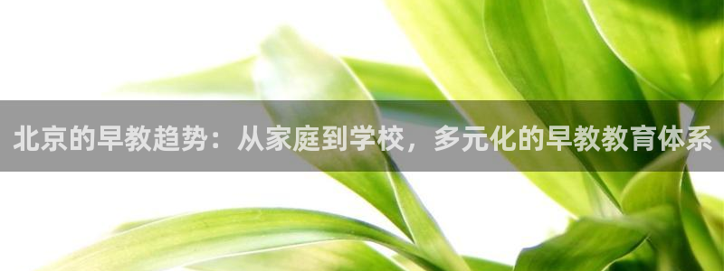 威九国际留学：北京的早教趋势：从家庭到学校，多元化的早教教育体系