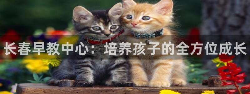威九国际免费进入：长春早教中心：培养孩子的全方位成长