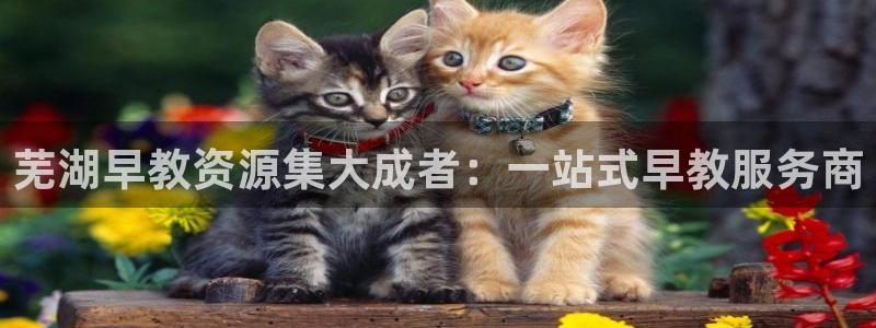 威九国际78mb42- MBA中文：芜湖早教资源集大成者：一站式早教服务商