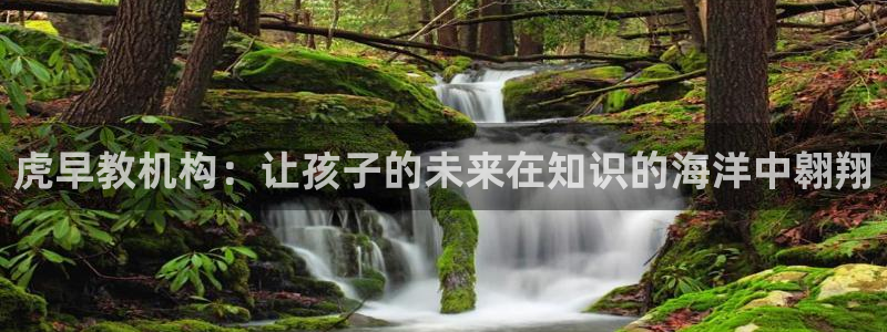 威九国际MM：虎早教机构：让孩子的未来在知识的海洋中翱翔