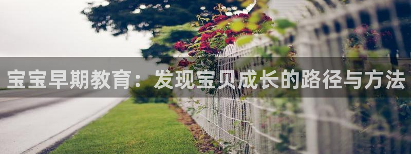 威九国际精选：宝宝早期教育：发现宝贝成长的路径与方法