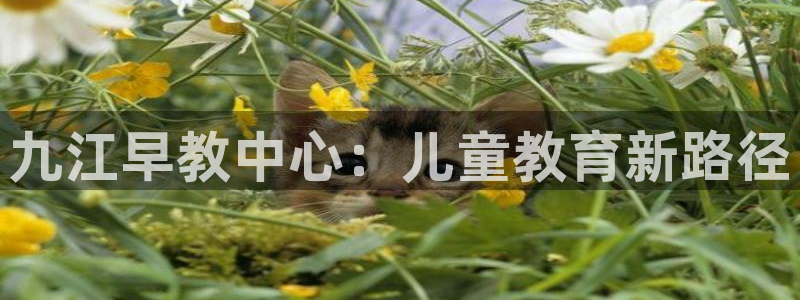 威九国际66m66m电影:九江早教中心:儿童教育新路径