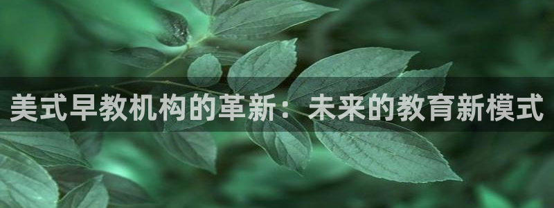 威九国际网站进入客服中心怎么退出：美式早教机构的革新：未来的教育新模式